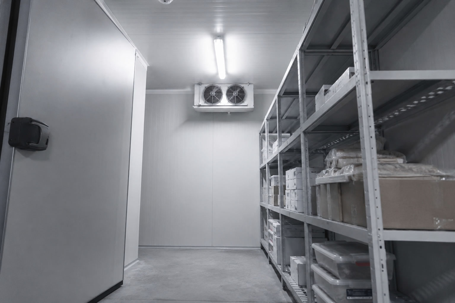 Interior de cuarto frigorífico con estanterías